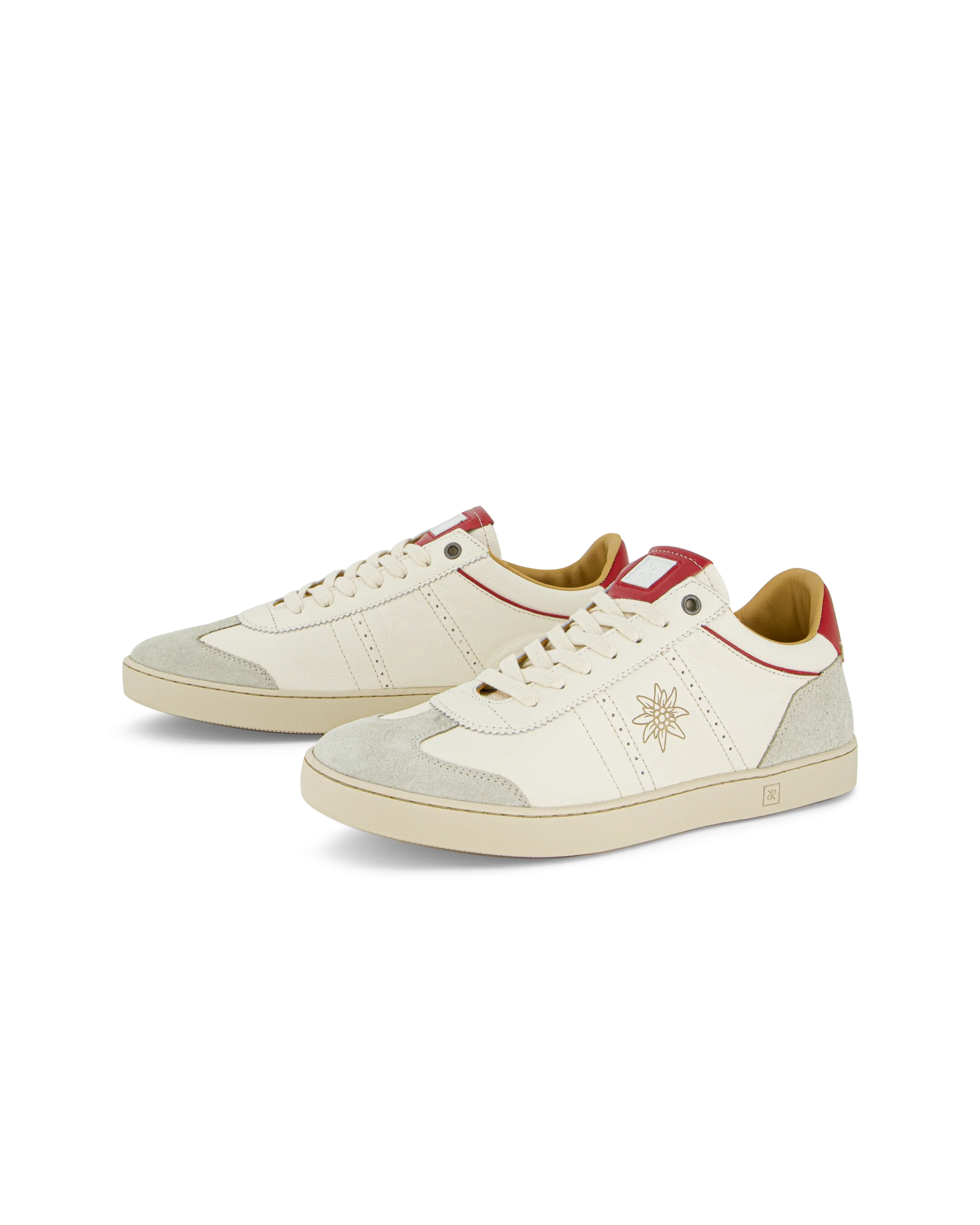 Judy Swiss Edition